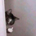 hollowvisionss avatar