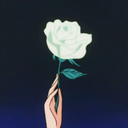 holly-cr avatar