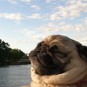 holly-go-lightlyy avatar