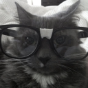 holly71317332 avatar