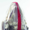 hollyberrytree avatar