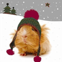 hollyjollysoul avatar