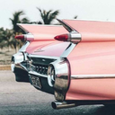 hollyschoeman avatar