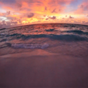 hollyseabreeze-blog avatar