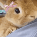 hollythedopamineslave avatar