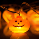 hollywoodbonez avatar