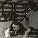 hollywoodcomvinho avatar