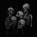 hollywoodundead810 avatar