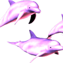 holo-dolphin-seapunk avatar