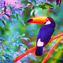 holy-spirit-unicorn avatar