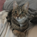 holygrailbaby avatar