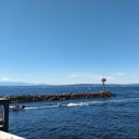 holyinquisitorspell avatar