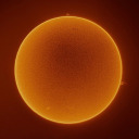 holykoalapost avatar