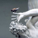 holylandllama avatar