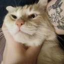 holylorddoitsu avatar