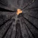 holypapercheesecake avatar