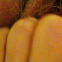 holyphilosopherbird avatar