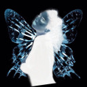 holyterrainnnnnn avatar