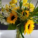 home-aesthetic avatar