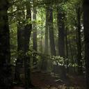 home-elsewhere avatar