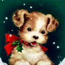 homeforchristmas avatar