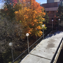 homeforlostsubs avatar