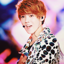 homeforpuppies avatar