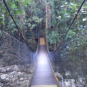 homeskilledbiscuit avatar