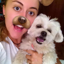 homesweetchocolate avatar