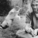 homethearmless avatar