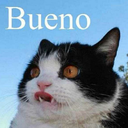 homicidalseapig avatar