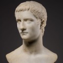 homo-borealis avatar