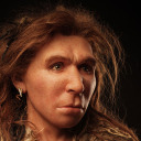 homo-neandertalensis avatar