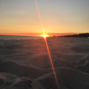 homohideout-blog avatar