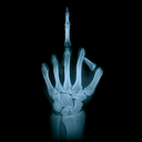 homomestarisupreme avatar