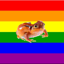 homosexual-cockroach avatar