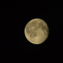 honesthesiologist avatar