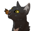 honestlybrambleclaw avatar