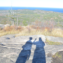 honestlyitcouldbeworse avatar