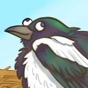 honestmagpie avatar