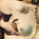 honey--or--tar avatar