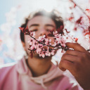 honey-boulevard avatar