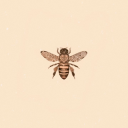 honey-h-u-g-s avatar