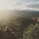 honeyandthemoon avatar