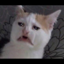 honeyaveclavender avatar