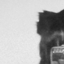 honeybachira avatar