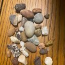 honeybadgerpaws avatar