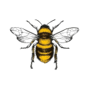honeybee-musings avatar