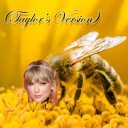 honeybee-taylorsversion avatar