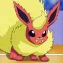 honeybeeboards avatar